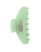 claw clip